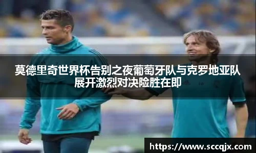 xc体育官网